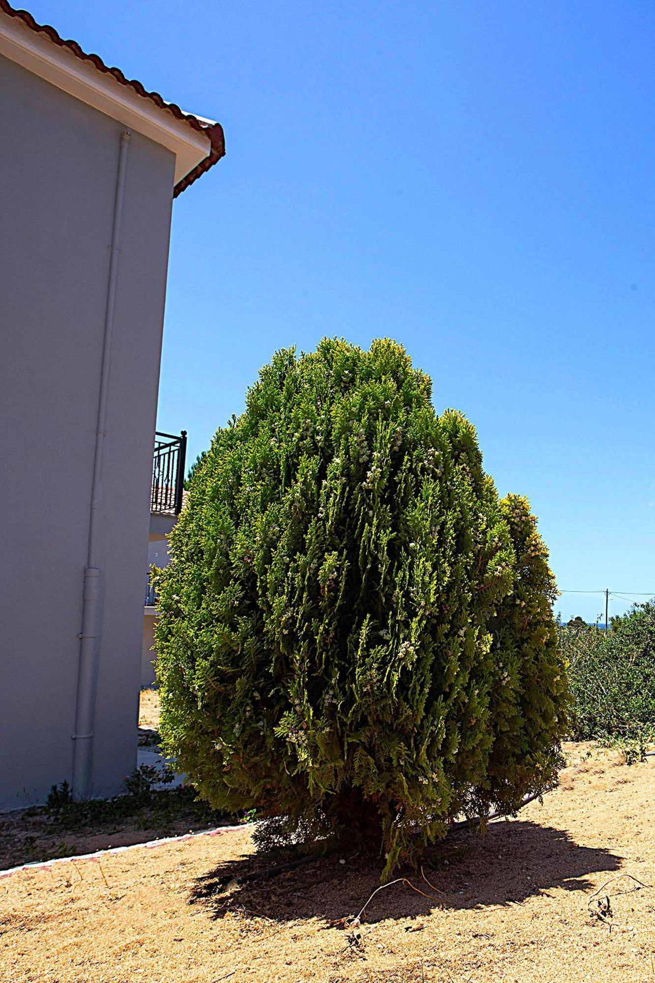 Romanos Beach Villas Bagian luar foto